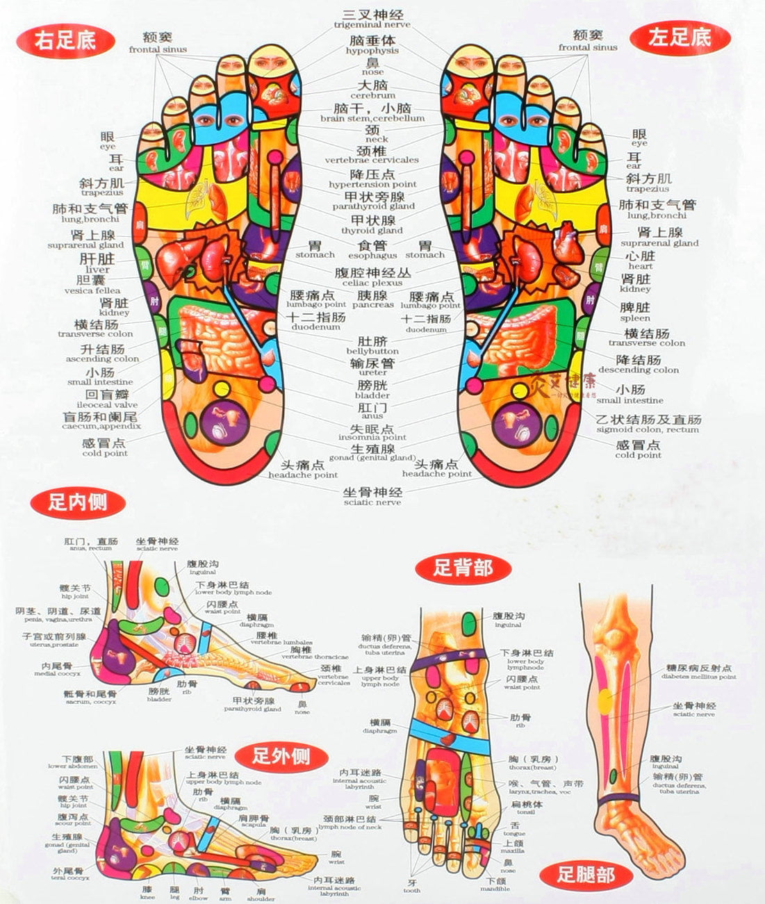 voet reflex massage